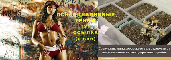 винт Алзамай