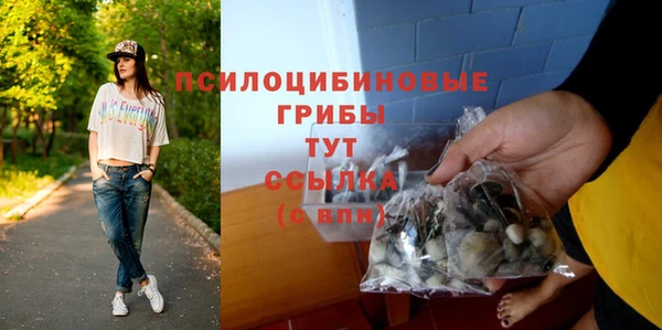 ешки Аркадак