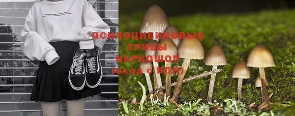 ешки Аркадак